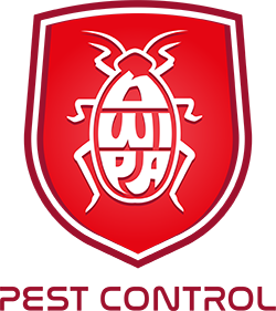 Logo CV Dwipa Kencana Sukses