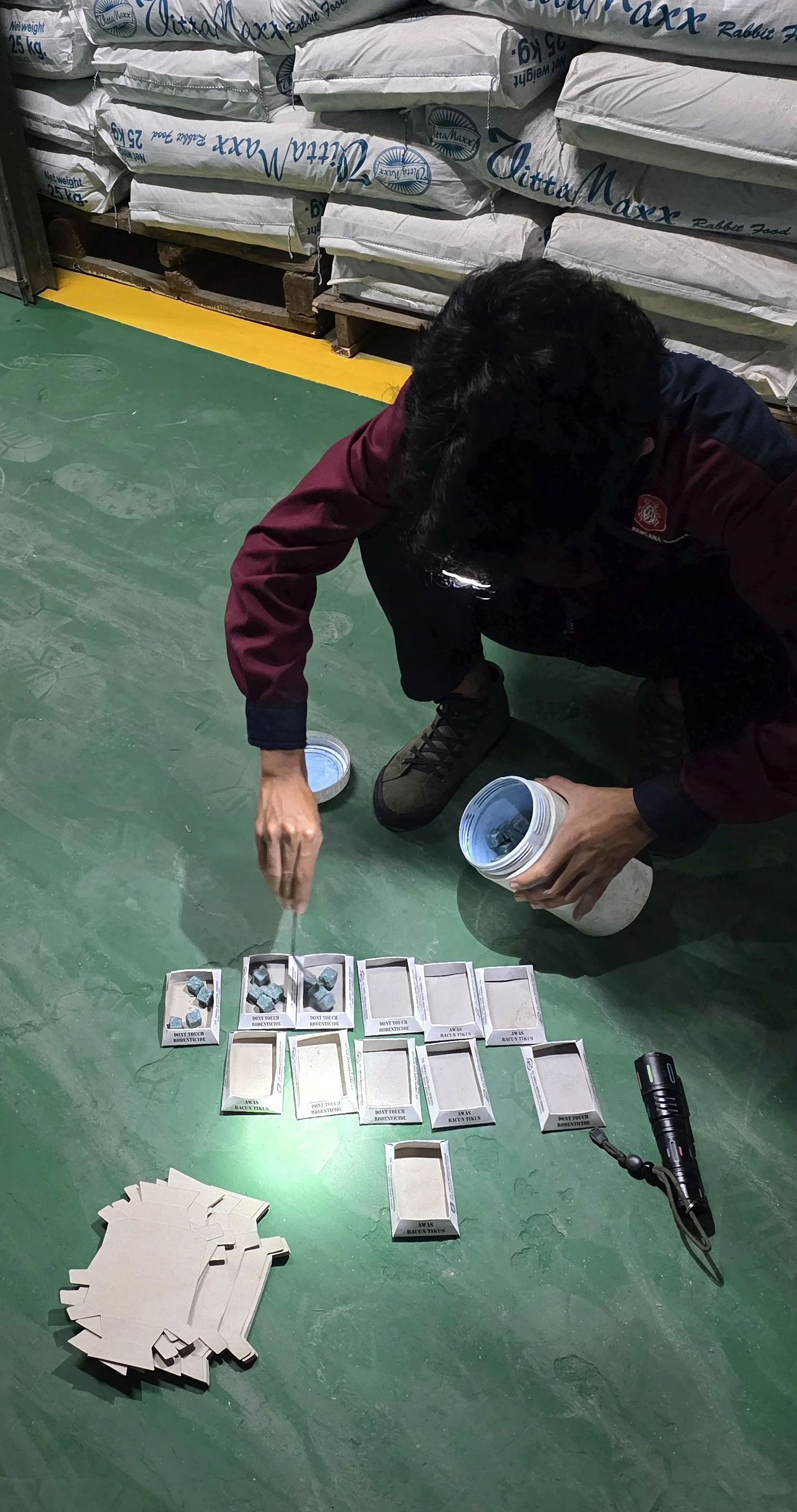 Pengendalian Hama Tikus (Rodent Control)